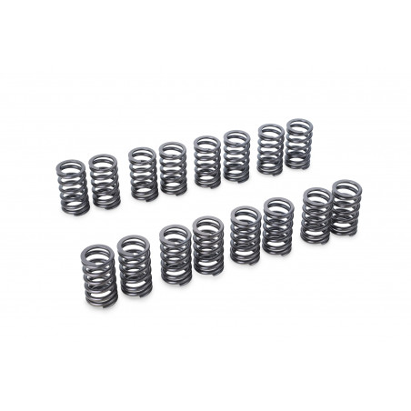 VALVE SPRING SET 4G63