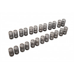 VALVE SPRING SET VR38DETT