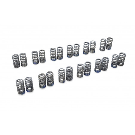 VALVE SPRING SET VQ35DE/VQ35HR