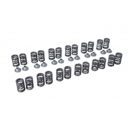 VALVE SPRING SET RB25DE(T) R33 TYPE-B