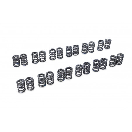VALVE SPRING SET RB20DE(T)/VG30DE(TT)
