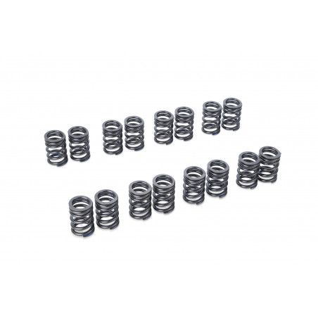 VALVE SPRING SET CA18DE(T)
