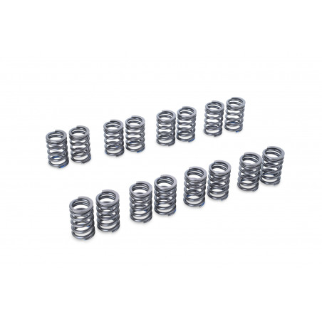 VALVE SPRING SET EJ205/EJ207/EJ255/EJ257