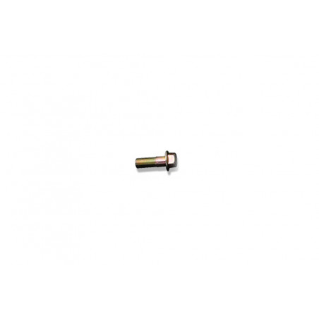 EXHAUST REPAIR PART FLANGE BOLT M10*P1.25 20mm