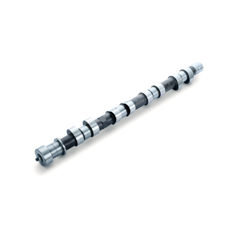 CAMSHAFT SPEC-R 4G63 EVO4-6 EX 282-11.50