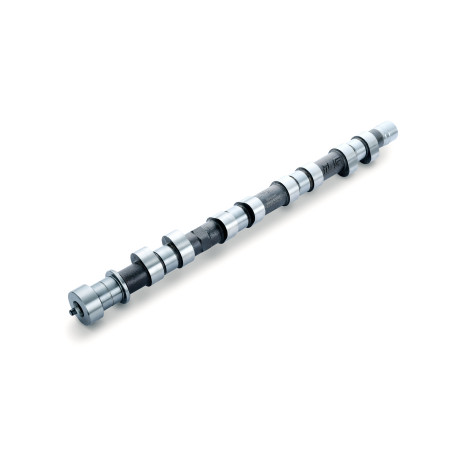 CAMSHAFT SPEC-S 4G63 EVO9 EX 272-10.20