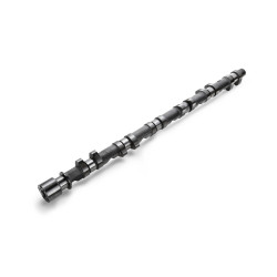 CAMSHAFT SPEC-R RB25DE(T) NVCS R33 IN 272-10.25 SOLID